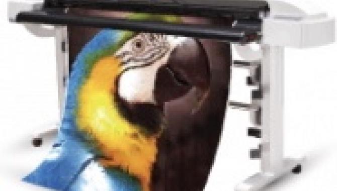 Aladdin Print - фото (8458-52180)