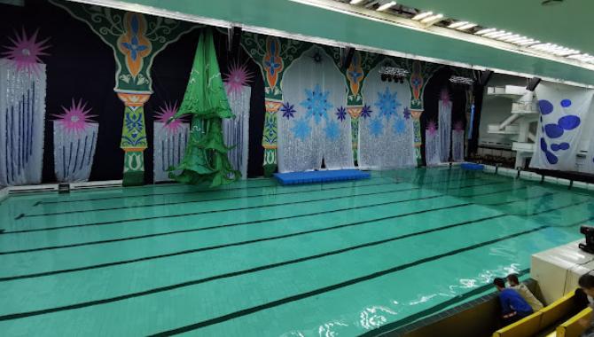 Локомотив  - фото (9116-53339)