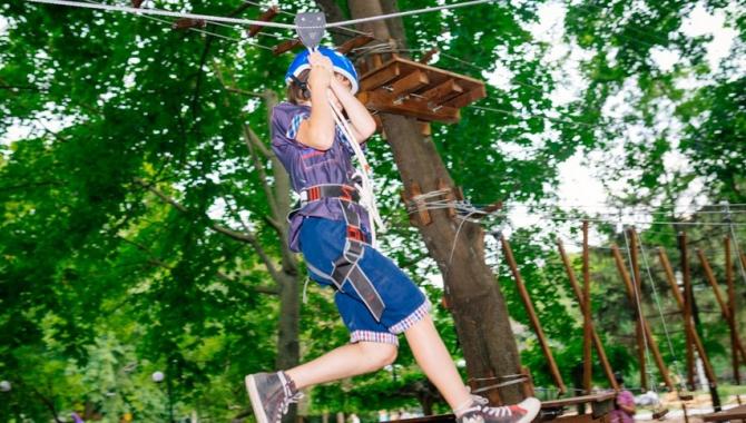Верёвочный парк «Форест Парк» - фото (9392-53828)
