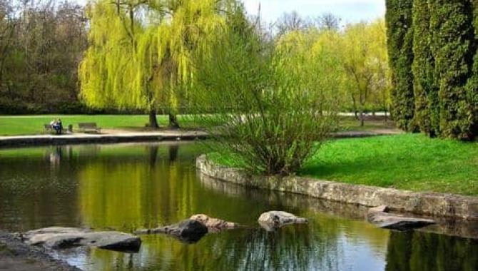 Парк Победы - фото (9591-54074)