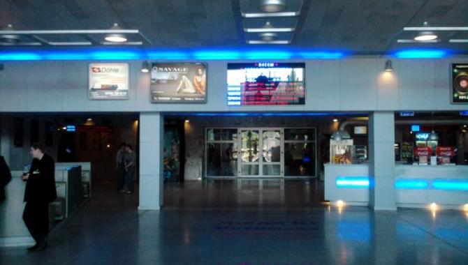 Золотой Дюк - фото (546-1837)