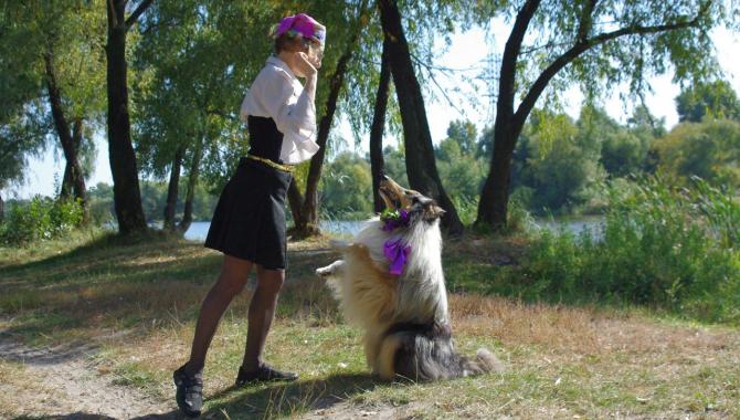 Кинологический центр Лармон - фото (809-3472)