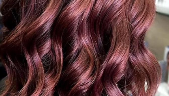 Абрикос - фото (8095-51158)