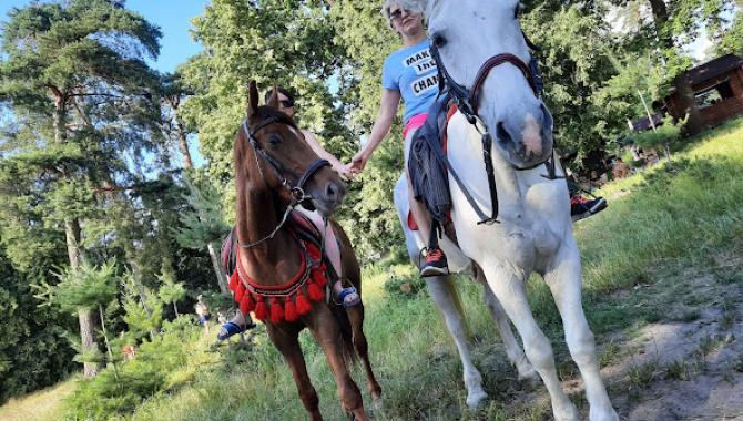 Конный клуб «Мустанг» - фото (9141-53401)