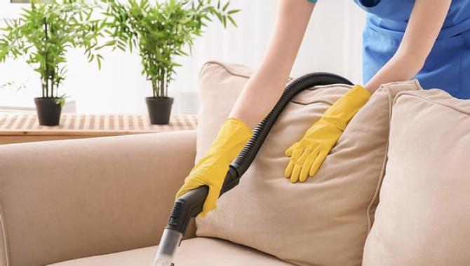 Енот  - фото (8100-51182)