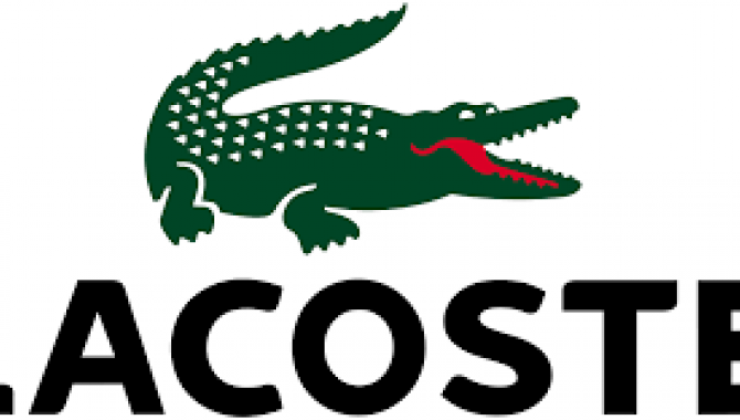 Lacoste - фото (8092-51146)