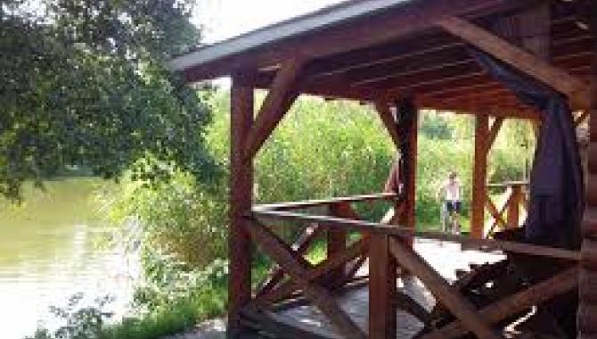 Алексеевский лугопарк - фото (8234-51570)