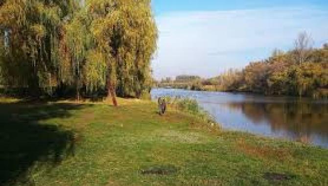 Алексеевский лугопарк - фото (8234-51571)