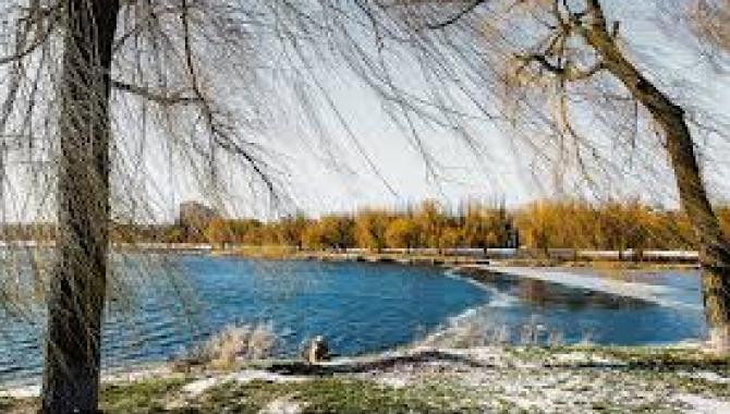 Алексеевский лугопарк - фото (8234-51572)