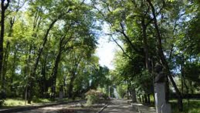 Севастопольський парк - фото (8238-51586)
