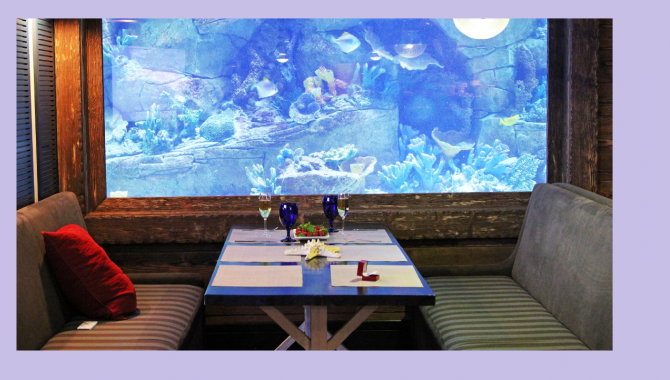 Марлин - рыбный ресторан - фото (844-3705)