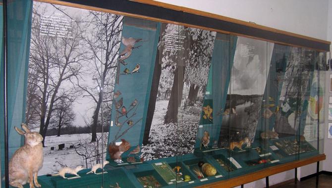 Полтавский краеведческий музей  - фото (9581-54061)