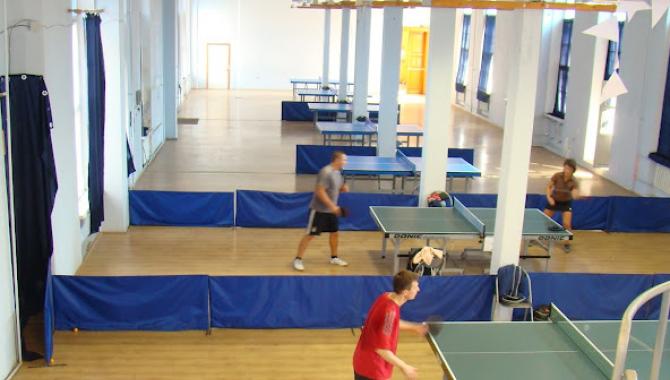 Тип Топ - фото (9159-53438)