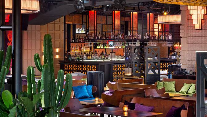 CHI by Decadence House - фото (4186-40993)