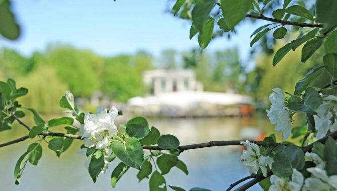 Прага - фото (3608-18239)