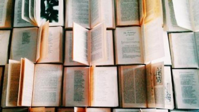 Кафе «Любовь-Морковь» - фото (3667-18817)