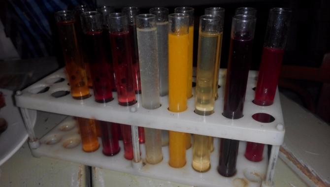 Палата №6 - фото (3799-19260)