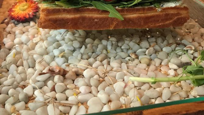 
Барсук
 - фото (3937-19743)