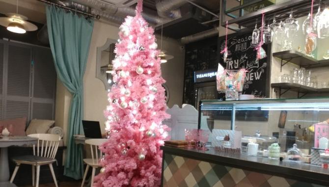 Tiramisu Bar - фото (4159-20783)