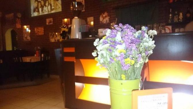 Friends Cafe - фото (4612-23451)