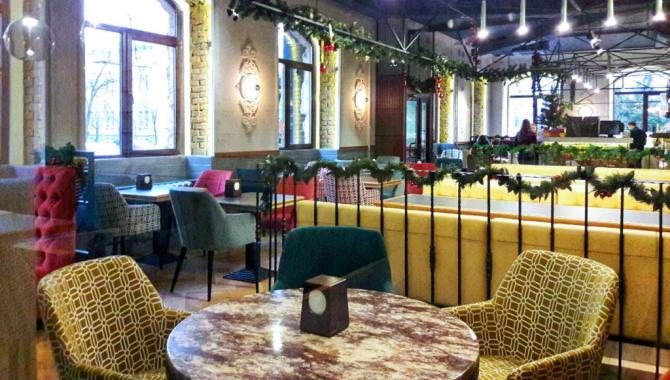 Евразия на Рогнединской - фото (4619-23473)