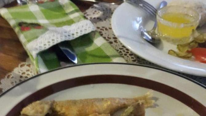 Чорноморка - фото (4768-24133)