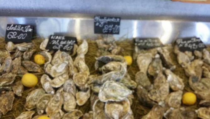 Чорноморка - фото (4768-24128)