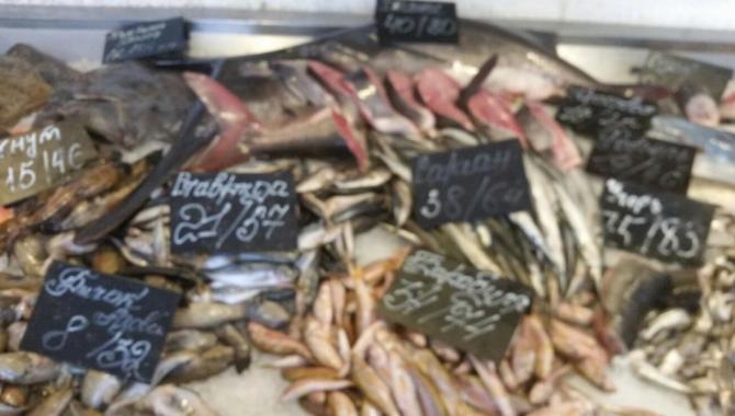 Чорноморка - фото (4768-24129)