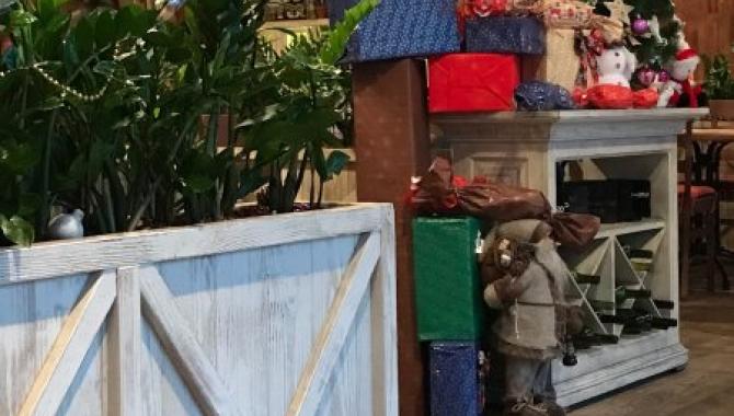 Руккола - фото (4776-24181)