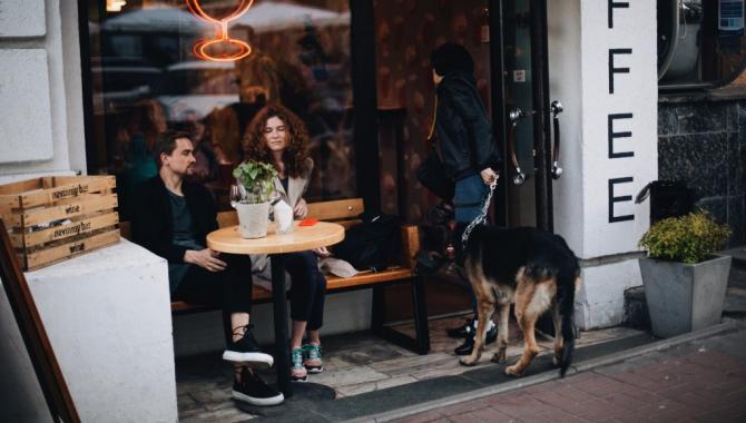 Nevinniy Bar - фото (4946-25152)