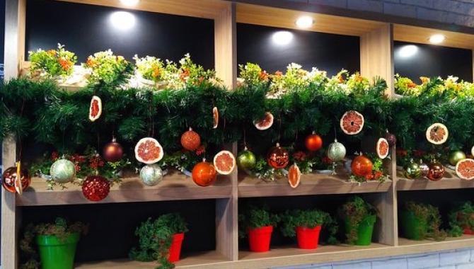 Пузата Хата - фото (5125-26148)