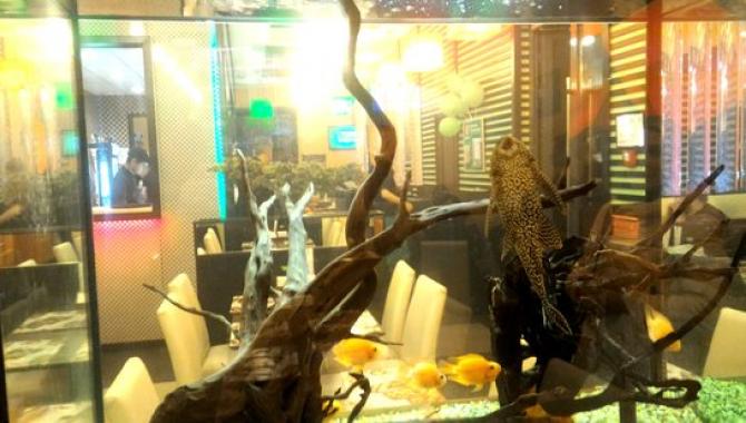 Sushiya - фото (5144-26251)