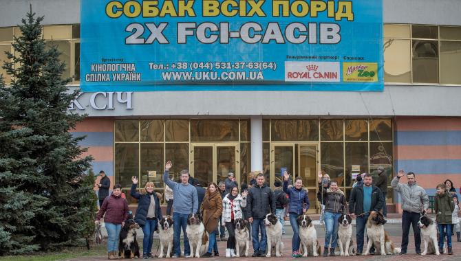 «Клуб собаківницства Олімп» - фото (2278-12592)