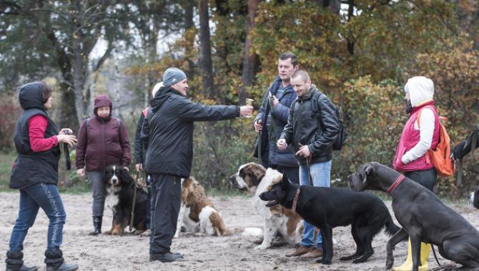 «Клуб собаківницства Олімп» - фото (2278-12595)