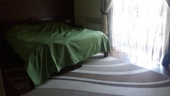 Petrani Hostel - фото (5537-28682)