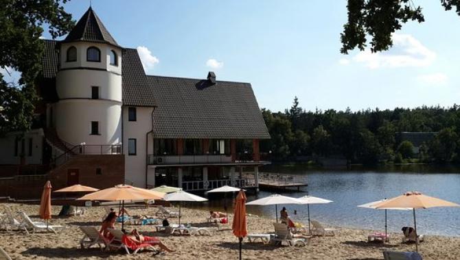 Пуща лесная - фото (6151-31308)