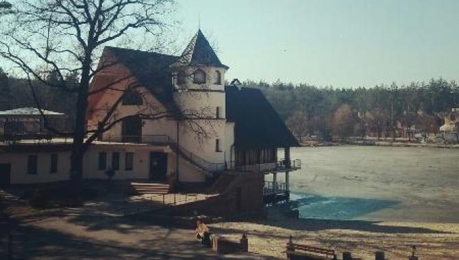 Пуща лесная - фото (6151-31311)