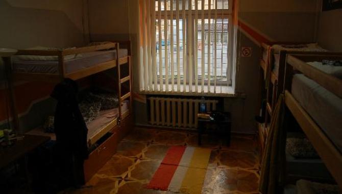 Why Not? - фото (6549-34362)