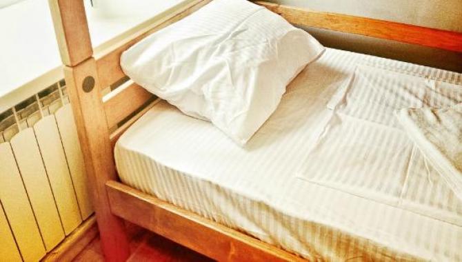 Pumba hostel - фото (6552-34384)