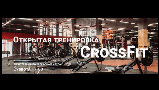 YOD - фото (580-2035)