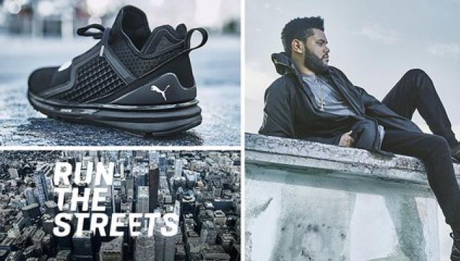 Puma - фото (686-2704)