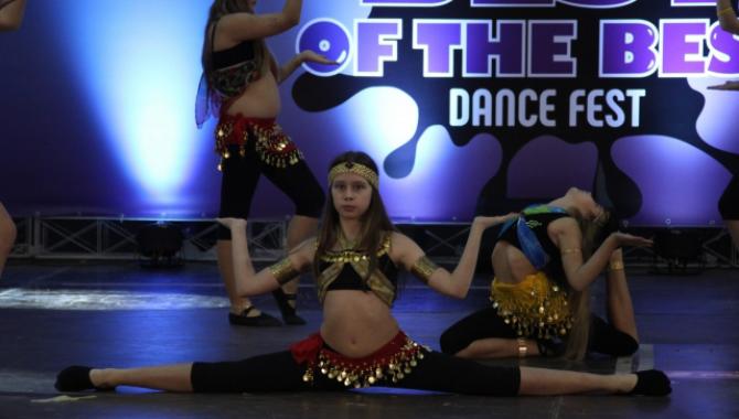 DanceFam - фото (1166-6413)