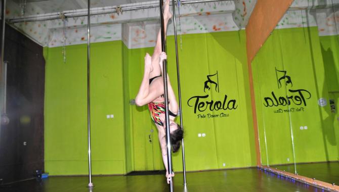 Terola Pole Dance Class - фото (7388-43079)