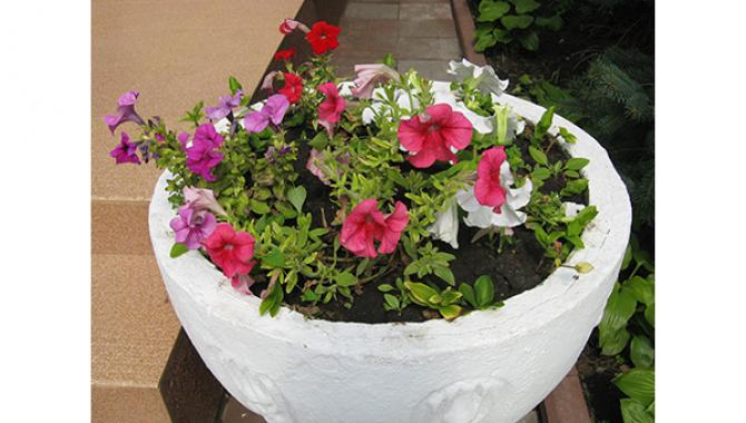 Спасо-Преображенский собор - фото (1507-8176)