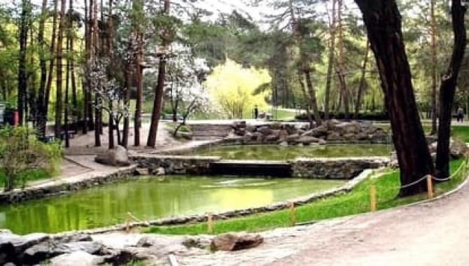 Парк «Юбилейный» - фото (9589-54072)