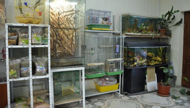 Гранд - фото (643-2437)