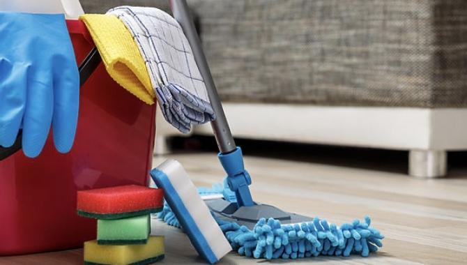 Енот  - фото (8100-51180)