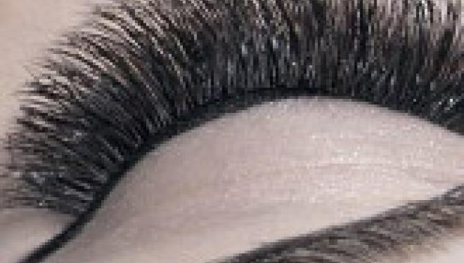 Vivienne  - фото (8024-50951)