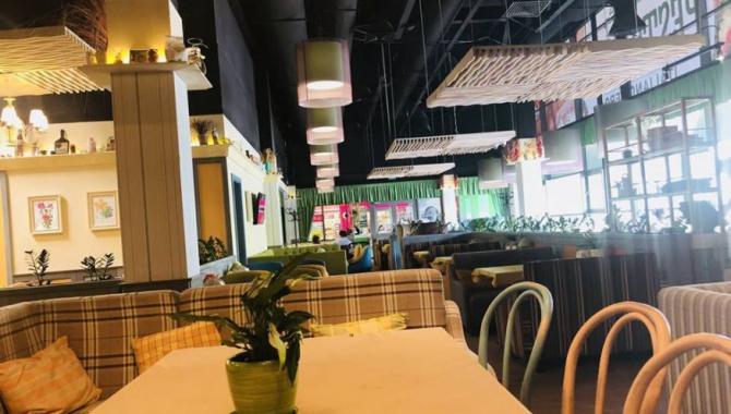 Pesto Cafe - фото (4760-45805)