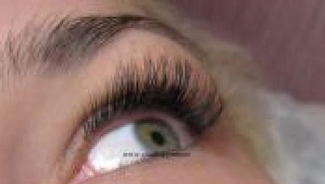 Studio L - фото (8025-50957)